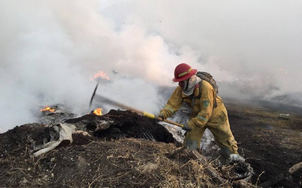 ¡Cerros de Tijuana en peligro por incendios! | Tj noticias