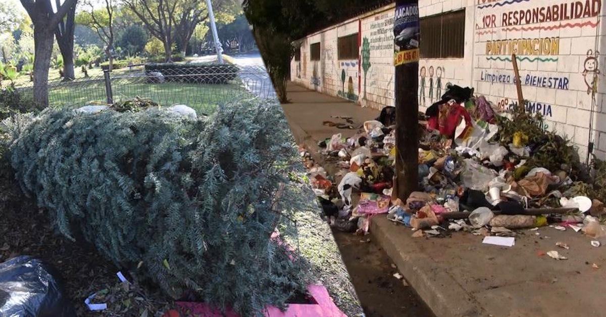 Multas de hasta $2,500 por tirar basura y dejar el árbol de navidad en la  calle | TJNoticias