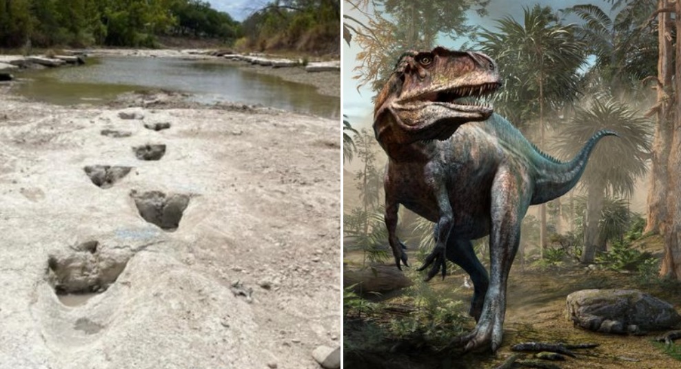 Sequía en Texas deja al descubierto huellas de dinosaurios de hace 113  millones de años | TJNoticias